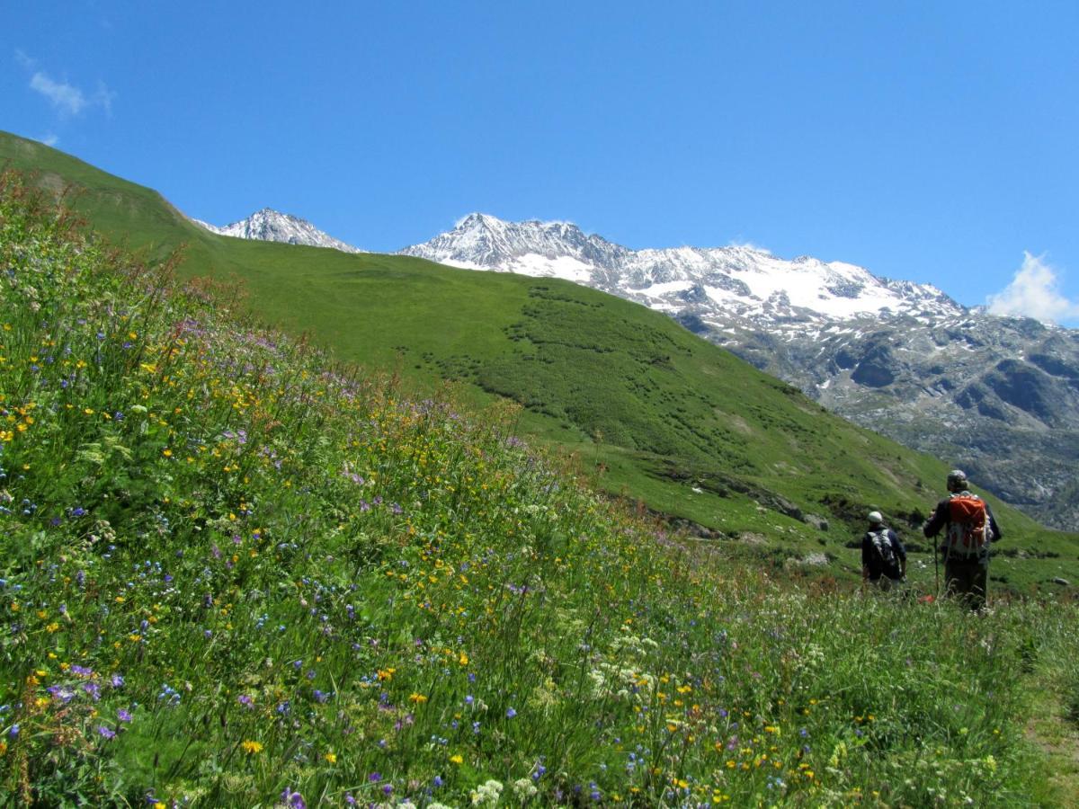 Chalet La Petite Soeur Villa Villard-Reculas Eksteriør bilde